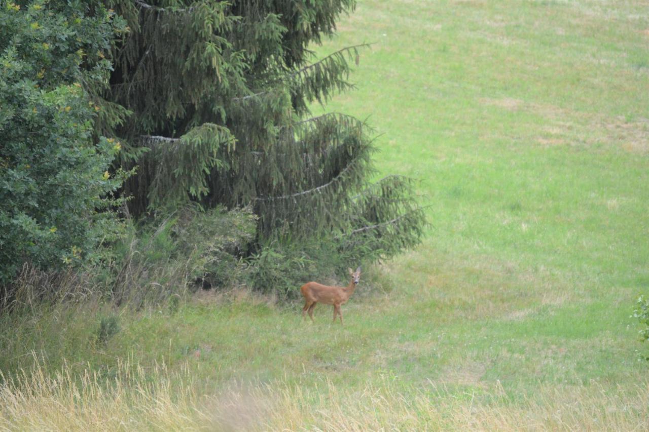 B&B Prosterath-Hochwald Eksteriør billede